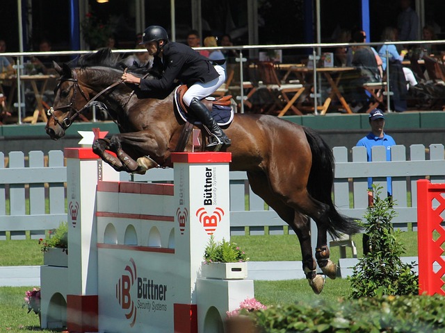 湃的赛事体 湃的赛事体