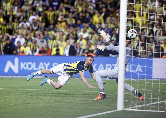 的战术执行 的战术执行