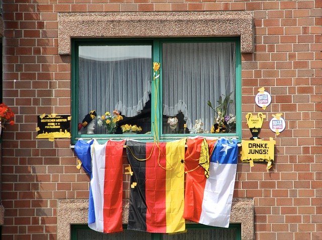 生命周期画 生命周期画