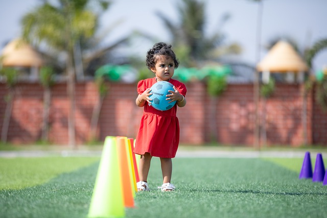 的平台上展 的平台上展
