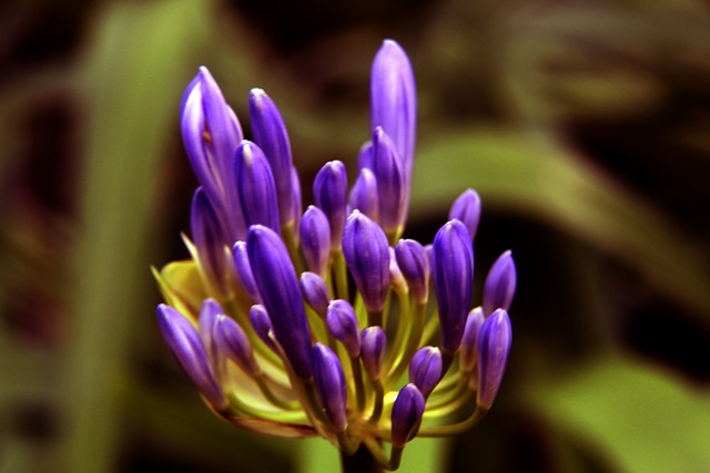 更关乎人性 更关乎人性