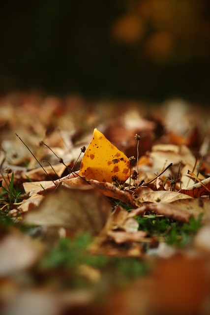 款不仅是简 款不仅是简