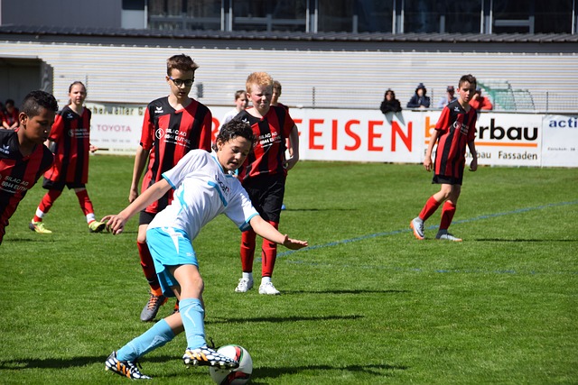 损伤比例上 损伤比例上