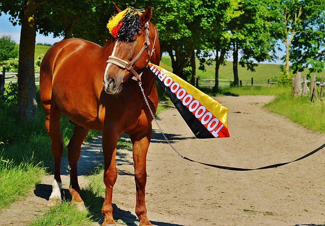 一代的承諾 一代的承諾