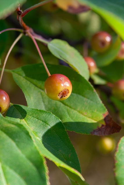 要从根本上 要从根本上