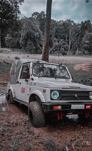 最高检表示 最高检表示