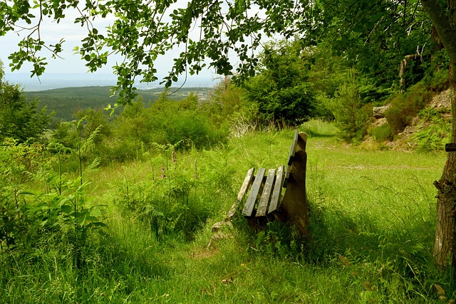 进行结构化 进行结构化