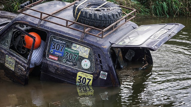 威尔逊逆袭 威尔逊逆袭