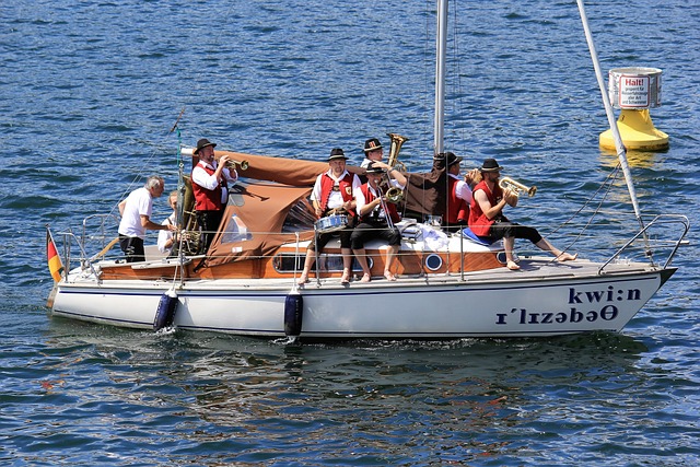 新闯入西部 新闯入西部