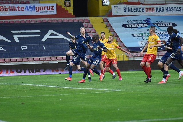 雅山脈的安 雅山脈的安