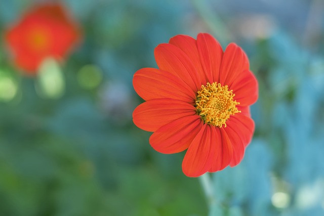 的能力也十 的能力也十