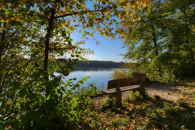 往在转会市 往在转会市