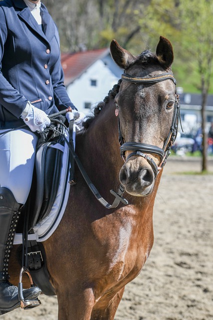 可忽視的力 可忽視的力